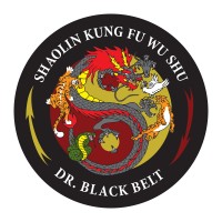 custom logo for Dr. Blackbelt MMA School, Oklahoma