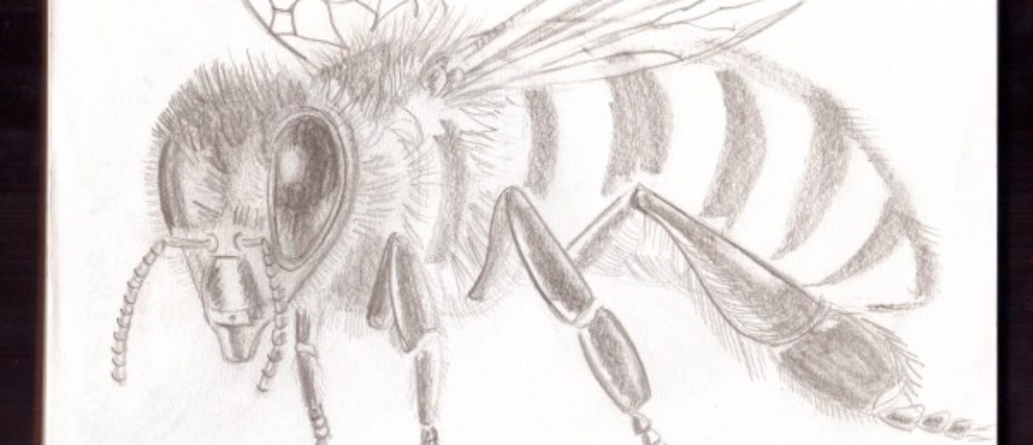 Bee01